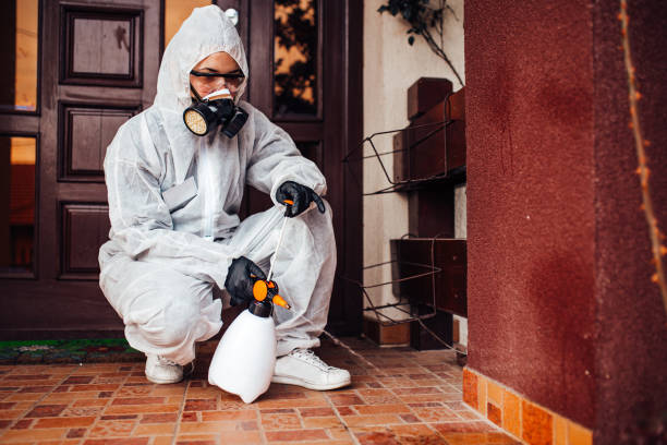 Reliable Bed Bug Control contractor in Peabody, KS by Nex Pest Control